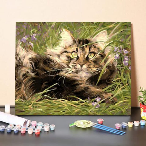 Cat’s Stare – Paint By Numbers Kit