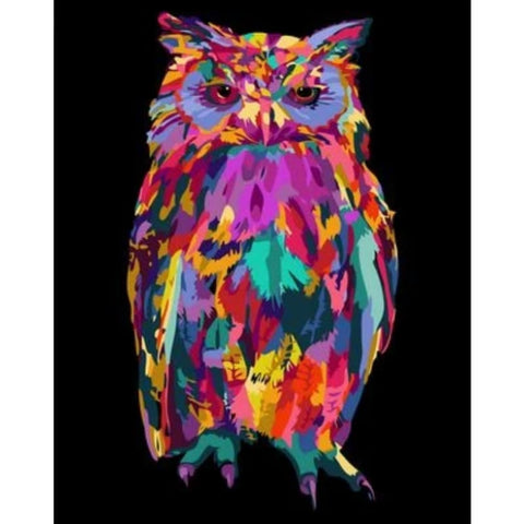 Color Animal Owl Diy Paint By Numbers Kits ZXQ2573 - NEEDLEWORK KITS