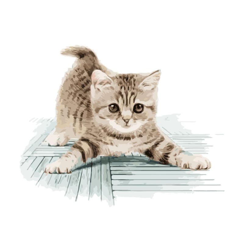 Cute Cat Diy Paint By Numbers Kits WM-287 - NEEDLEWORK KITS