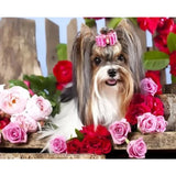 Dog Diy Paint By Numbers Kits ZXQ3342 - NEEDLEWORK KITS