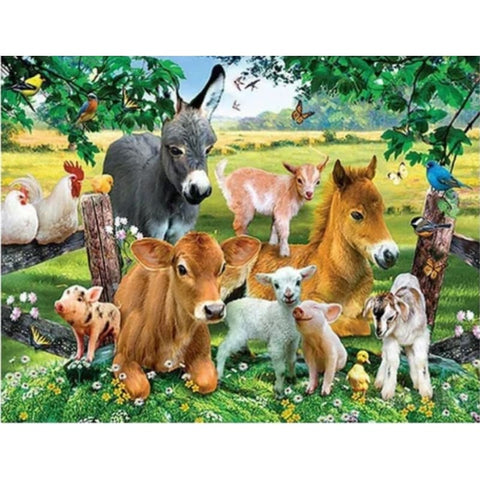 Donkey Diy Paint By Numbers Kits PBN30235 - NEEDLEWORK KITS