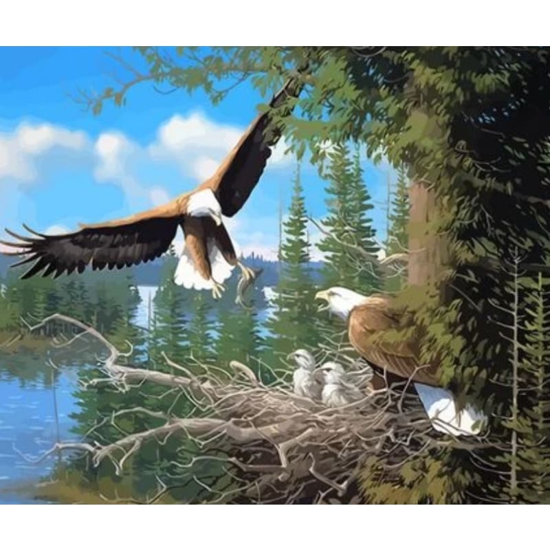 Eagle Diy Paint By Numbers Kits ZXQ3643 - NEEDLEWORK KITS