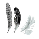 Feather Diy Paint By Numbers Kits PBN30150 - NEEDLEWORK KITS