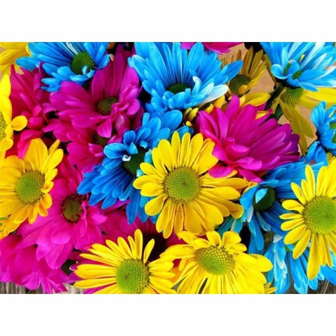 Flower Diy Paint By Numbers Kits PBN91151 - NEEDLEWORK KITS