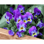 Flower Diy Paint By Numbers Kits PBN95704 - NEEDLEWORK KITS