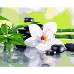 Flower Diy Paint By Numbers Kits WM-779 - NEEDLEWORK KITS