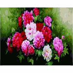 Flower Diy Paint By Numbers Kits ZXE425 - NEEDLEWORK KITS