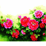 Flower Diy Paint By Numbers Kits ZXE600 - NEEDLEWORK KITS