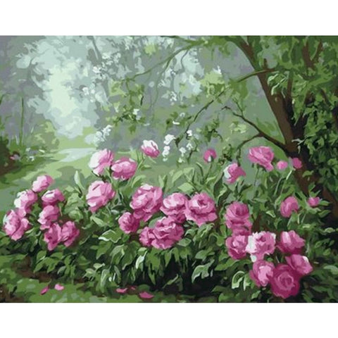 Flower Diy Paint By Numbers Kits ZXQ2437 - NEEDLEWORK KITS