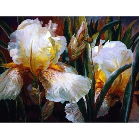 Flower Paint By Numbers Kits PBN95263 - NEEDLEWORK KITS