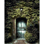 Flower Wall Diy Paint By Numbers Kits ZXQ427 - NEEDLEWORK KITS