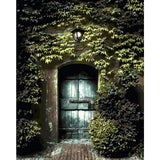 Flower Wall Diy Paint By Numbers Kits ZXQ427 - NEEDLEWORK KITS