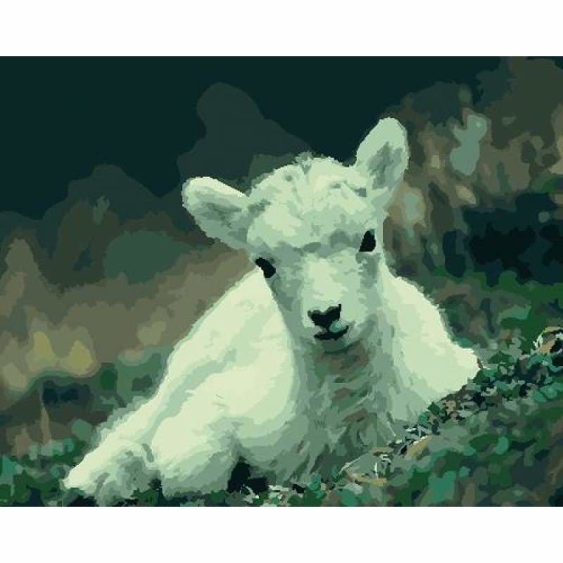 Goat Diy Paint By Numbers Kits ZXB774 - NEEDLEWORK KITS