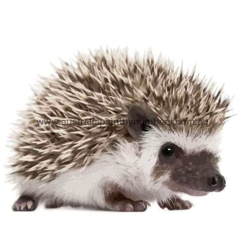 Hedgehog Diy Paint By Numbers Kits PBN30133 - NEEDLEWORK KITS