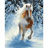 Horse Diy Paint By Numbers Kits WM-187 - NEEDLEWORK KITS
