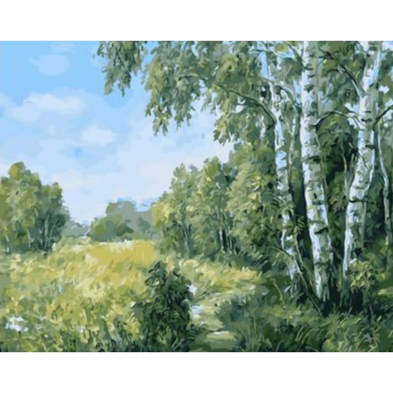 Landscape Forest Diy Paint By Numbers Kits ZXQ1415 - NEEDLEWORK KITS