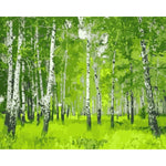 Landscape Forest Diy Paint By Numbers WM-079 - NEEDLEWORK KITS
