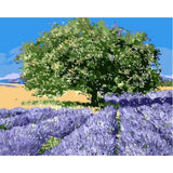 Landscape Tree Diy Paint By Numbers Kits ZXQ684 - NEEDLEWORK KITS