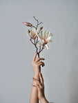 Flower Bundle II