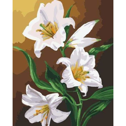 Lily Diy Paint By Numbers Kits ZXB675 - NEEDLEWORK KITS