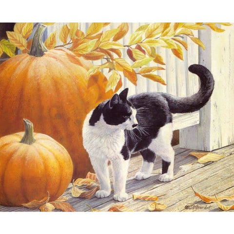 Lovely Cat Diy Paint By Numbers Kits PBN91160 - NEEDLEWORK KITS