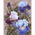Orchid Diy Paint By Numbers Kits WM-945 - NEEDLEWORK KITS