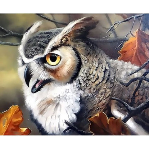 Owl Diy Paint By Numbers Kits ZXQ3485 - NEEDLEWORK KITS