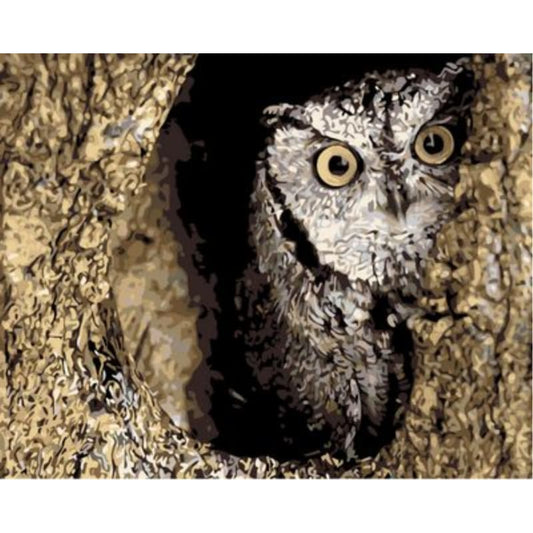Owl Diy Paint By Numbers Kits ZXQ789 - NEEDLEWORK KITS