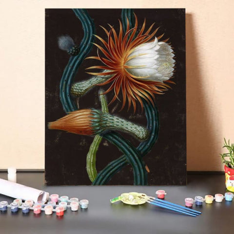 Paint by Numbers Kit-Cactus Flower