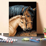 Paint By Numbers Kit – Horses