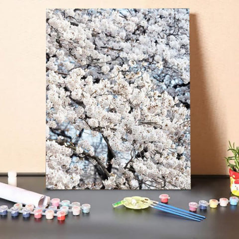 Paint by Numbers Kit – Sakura Cherry Blossoms