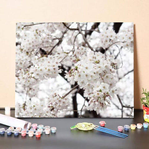 Paint by Numbers Kit – White Sakura Cherry Blossom