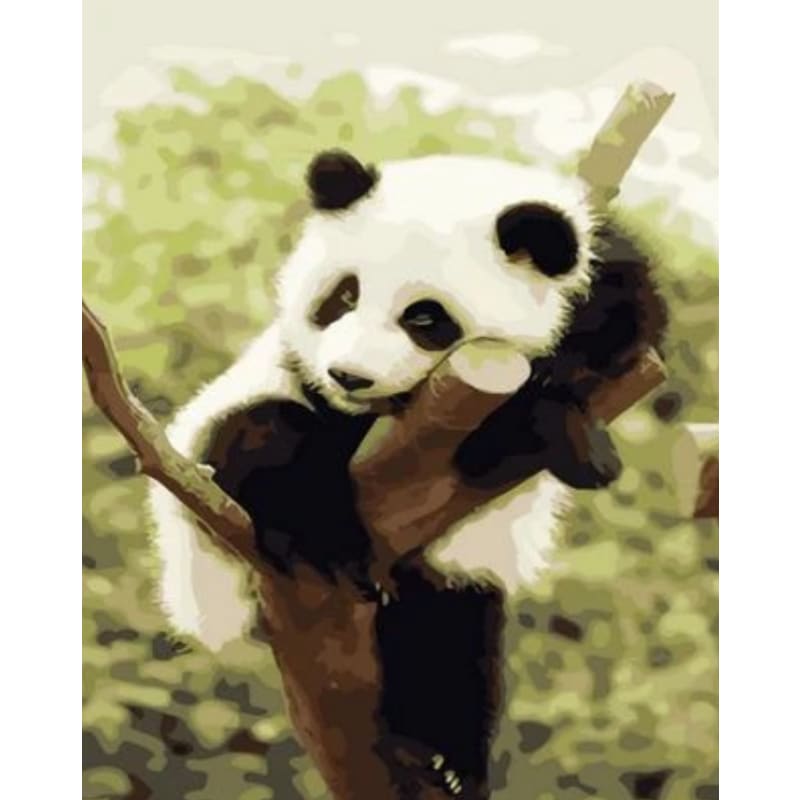 Panda Diy Paint By Numbers Kits ZXQ1274 - NEEDLEWORK KITS