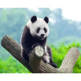 Panda Diy Paint By Numbers Kits ZXQ3466 - NEEDLEWORK KITS