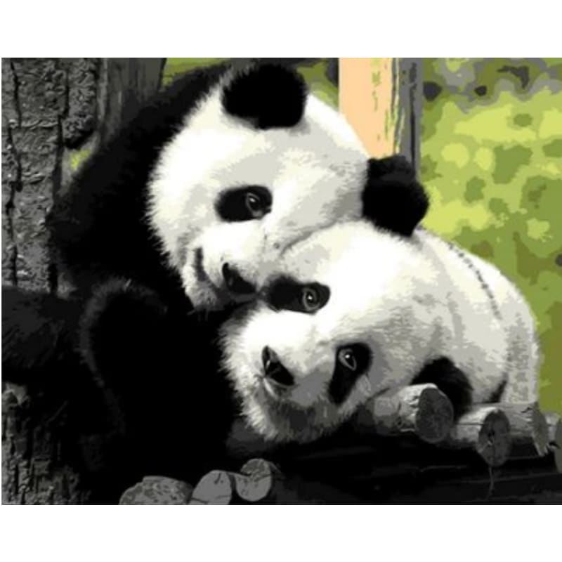 Panda Diy Paint By Numbers Kits ZXQ716 - NEEDLEWORK KITS