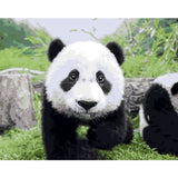 Panda Diy Paint By Numbers Kits ZXQ777 - NEEDLEWORK KITS
