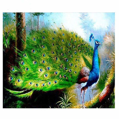 Peacock Diy Paint By Numbers Kits PBN30020 - NEEDLEWORK KITS