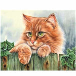 Pet Cat Diy Paint By Numbers Kits VM90620 - NEEDLEWORK KITS