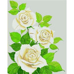 Plant Rose Diy Paint By Numbers Kits ZXB97 - NEEDLEWORK KITS