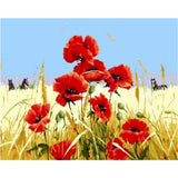 Poppy Flower Diy Paint By Numbers Kits ZXQ1753 - NEEDLEWORK KITS