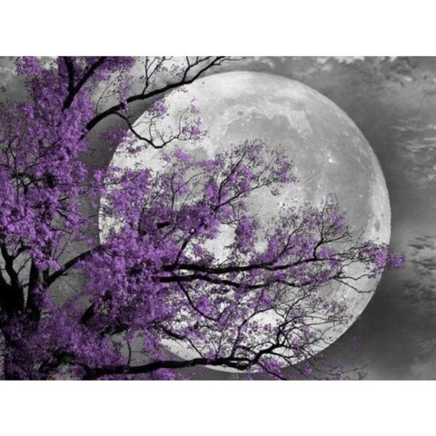 Scenery Tree Moonlight Diy Paint By Numbers Kits VM00058 - NEEDLEWORK KITS