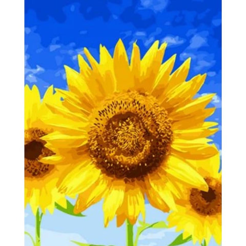 Sunflower Diy Paint By Numbers Kits ZXQ1185 VM80065 - NEEDLEWORK KITS