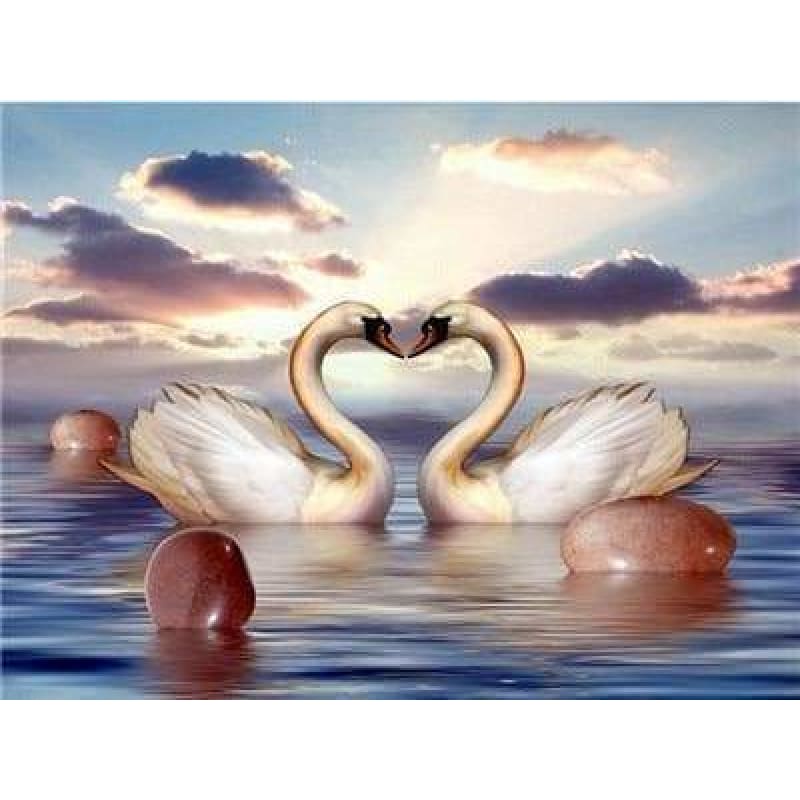 Swan Diy Paint by Numbers Kits DIY PBN96427 - NEEDLEWORK KITS