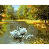 Swan Diy Paint By Numbers Kits WM-994 - NEEDLEWORK KITS