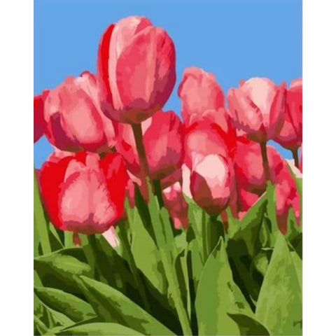Tulips Diy Paint By Numbers Kits ZXQ2005 - NEEDLEWORK KITS