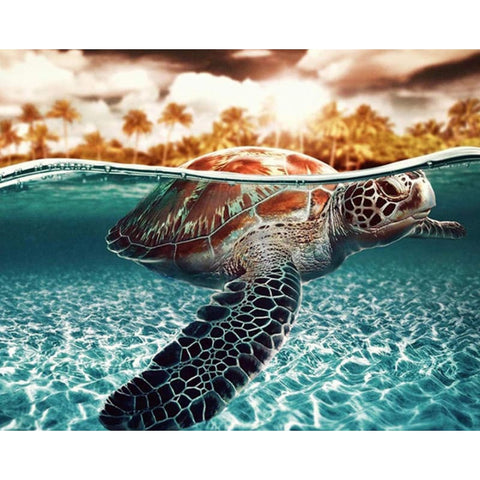 Turtle Diy Paint By Numbers Kits VM30242 - NEEDLEWORK KITS