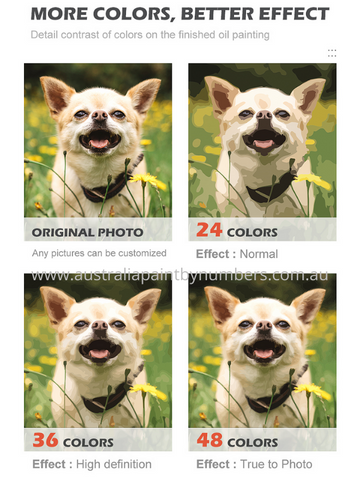 Photo to Custom Paint by Numbers, Up To 48 Colors